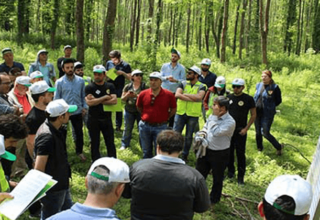 Orman Mühendisliği