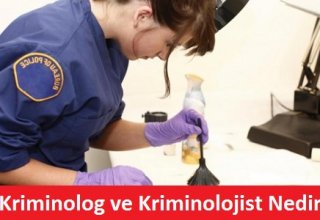 Kriminolojist Nedir