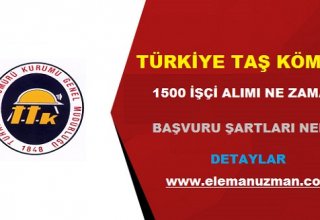 Türkiye Taş Kömürü