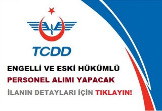 T.C. Devlet Demiryolları