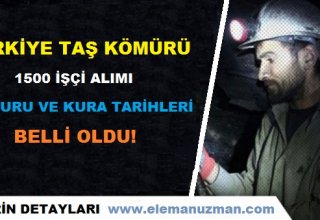 Türkiye Taş Kömürü