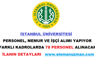 İstanbul Üniversitesi