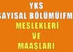 Sayısal Bölümler ve Maaşları