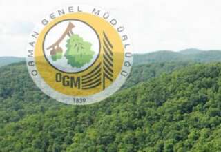 Orman Genel Müdürlüğü 16 Bin 500 Personel Alımı Yapacak !